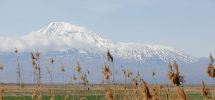 Ararat