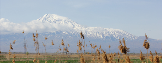 Ararat