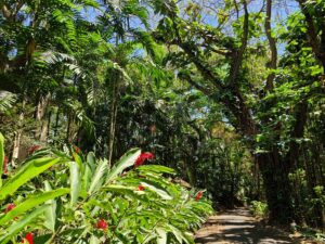 Dominikanische Republik Top Sehenswürdigkeiten Botanischer Garten Santo Domingo