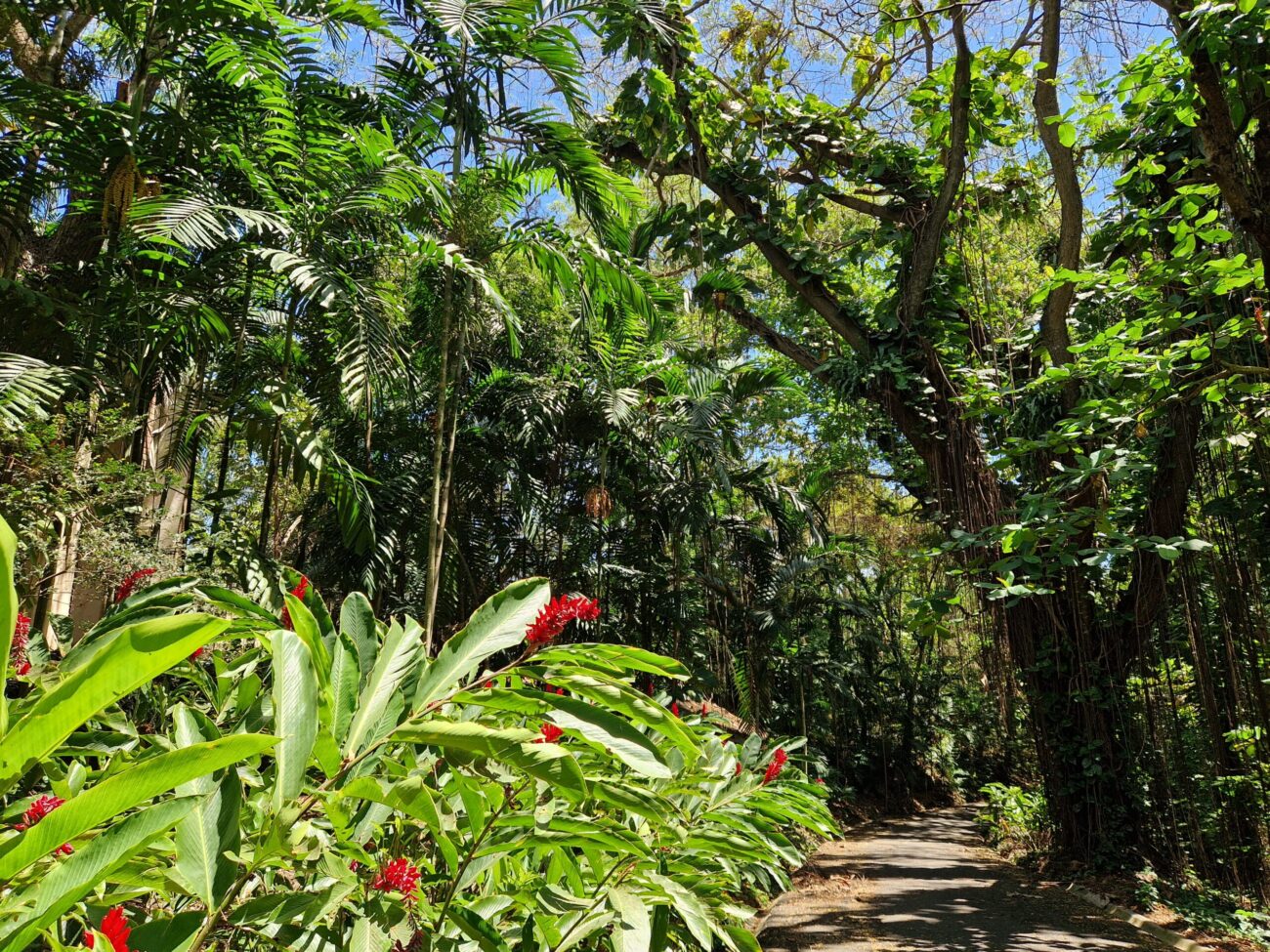 Dominikanische Republik Top Sehenswürdigkeiten Botanischer Garten Santo Domingo