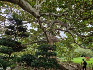 Dominikanische Republik Top Sehenswürdigkeiten Botanischer Garten Santo Domingo